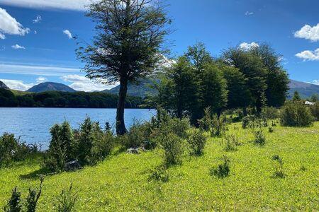 Patagonia, parcels in Monreal Lake. en Coyhaique, Región de Aysen