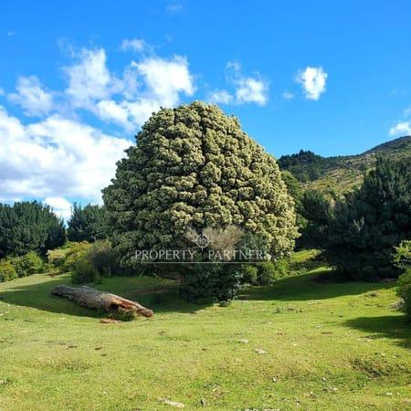 Patagonia, 46ha near Puerto Río Tranquilo. en General Carrera, Región de Aysen