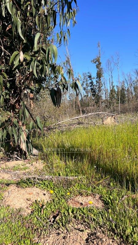 Hermosa parcela de 10.000 m/2 en Condominio La Foresta de Zapallar en Catapilco, Zapallar, Región de Valparaíso