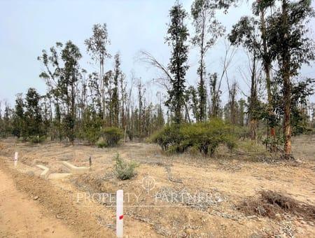Hermosa parcela de 10.000 m/2 en Condominio La Foresta de Zapallar en Catapilco, Zapallar, Región de Valparaíso