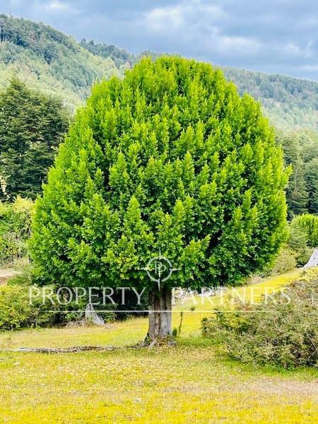 Espectacular terreno en Coilaco Alto en Pucon, Región de Araucania