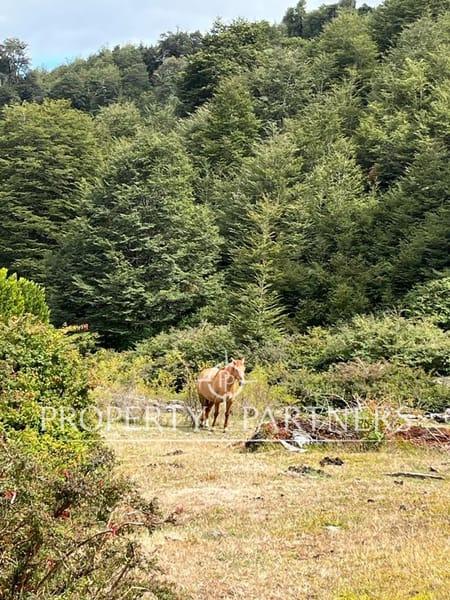 Espectacular terreno en Coilaco Alto en Pucon, Región de Araucania