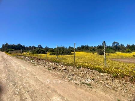 Pichilemu, Terreno en Loteo rural con vista al mar en Cahuil, Pichilemu, Región de Libertador Bernardo O'Higgins
