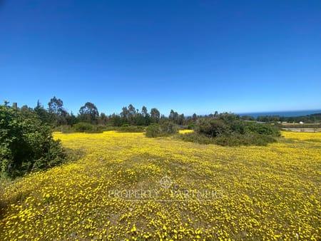 Pichilemu, Terreno en Loteo rural con vista al mar en Cahuil, Pichilemu, Región de Libertador Bernardo O'Higgins