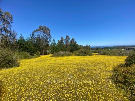 Pichilemu, Terreno en Loteo rural con vista al mar en Cahuil, Pichilemu, Región de Libertador Bernardo O'Higgins