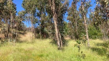 Matanzas, Terreno  rodeado Naturaleza en Puertecillo, Navidad, Región de Libertador Bernardo O'Higgins
