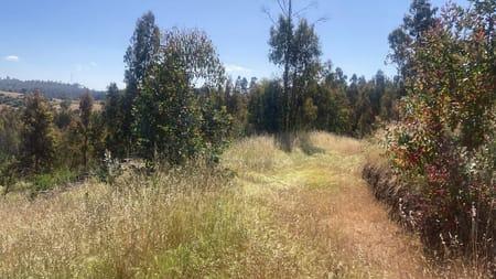 Matanzas, Terreno  rodeado Naturaleza en Puertecillo, Navidad, Región de Libertador Bernardo O'Higgins