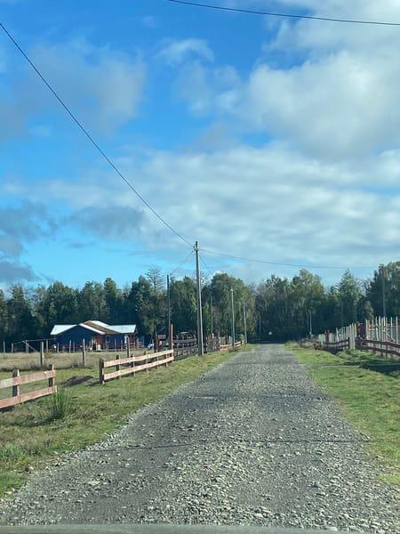 Hermosa parcela sector Choroico en Cunco, Región de Araucania