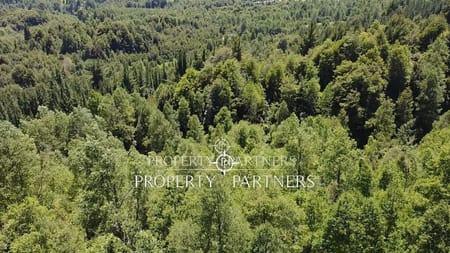 Parcela con bosque Nativo. en Pucon, Región de Araucania