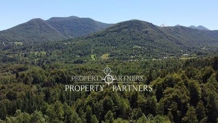 Parcela con bosque Nativo. en Pucon, Región de Araucania