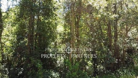 Parcela con bosque Nativo. en Pucon, Región de Araucania