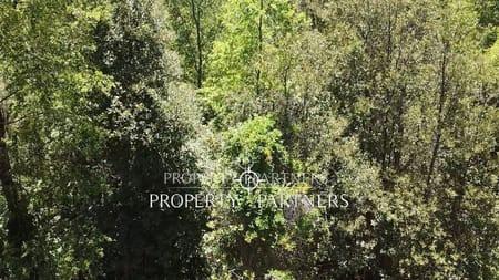 Parcela con bosque Nativo. en Pucon, Región de Araucania