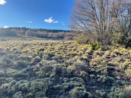 Hermoso sitio  a orilla de lago en Malleco, Región de Araucania