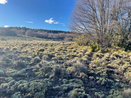Hermoso sitio  a orilla de lago en Malleco, Región de Araucania