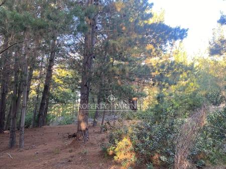 Puertecillo, Terreno en Condominio en Tumán en Puertecillo, Navidad, Región de Libertador Bernardo O'Higgins