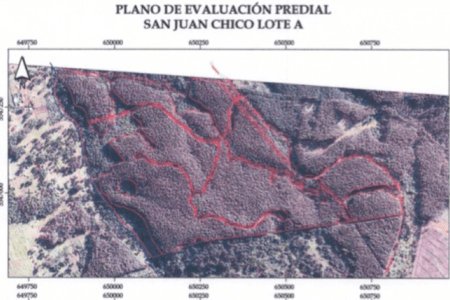 Terreno forestal comuna de La Unión en La Union, Región de Los Rios