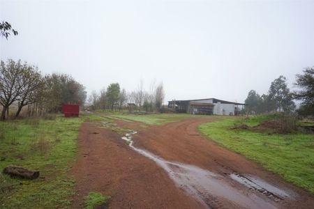 Cauquenes, campo para cerezos, maíz o ganado. en Cauquenes, Región de Maule