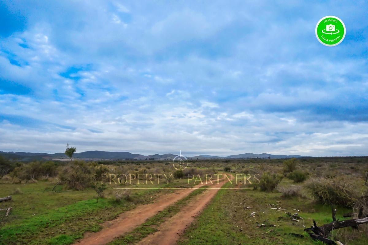 Cauquenes, campo de rulo, ideal para viñas en Cauquenes, Región de Maule