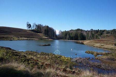 Villarrica, buen campo con avellanos, castaños y bosque en Villarrica, Región de Araucania