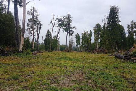 Lindo Campo a 20km de La Junta en Región de Aysen