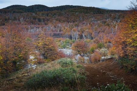 Hacienda para conservación de 2800 Hectareas en Coyhaique, Región de Aysen
