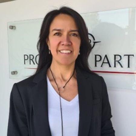 Property Partners Director