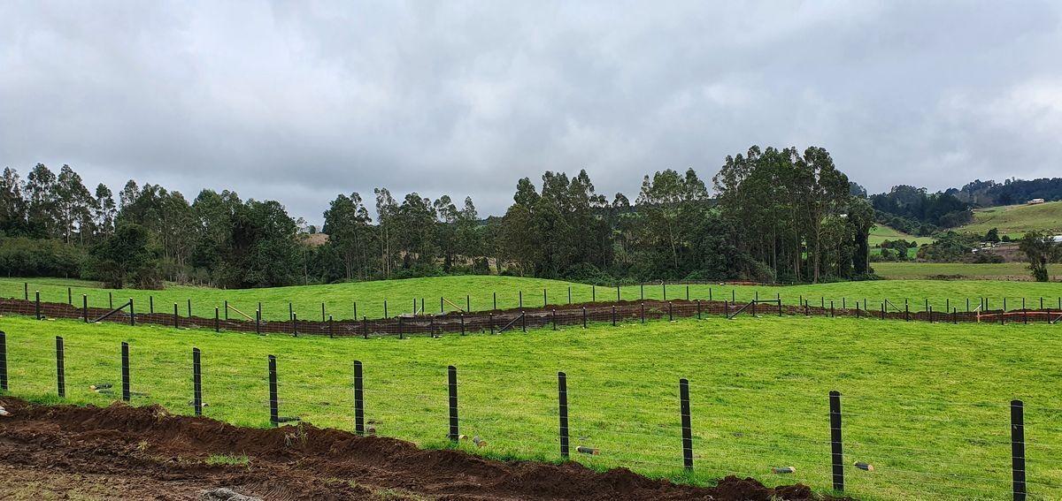Linda parcela Quebrada Honda en Llanquihue, Región de Los Lagos Linda parcela Quebrada Honda en Llanquihue, Región de Los Lagos
