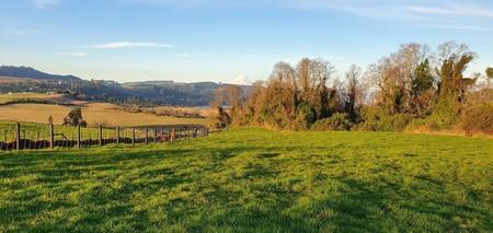 Linda parcela Quebrada Honda en Llanquihue, Región de Los Lagos Linda parcela Quebrada Honda en Llanquihue, Región de Los Lagos
