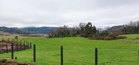 Linda parcela Quebrada Honda en Llanquihue, Región de Los Lagos Linda parcela Quebrada Honda en Llanquihue, Región de Los Lagos
