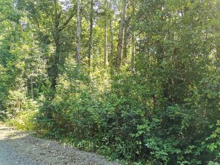 Hermosa parcela a 4 km de Pucón en Cautín, Región de Araucanía Hermosa parcela a 4 km de Pucón en Cautín, Región de Araucanía