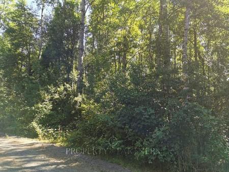 Hermosa parcela a 4 km de Pucón en Cautín, Región de Araucanía Hermosa parcela a 4 km de Pucón en Cautín, Región de Araucanía