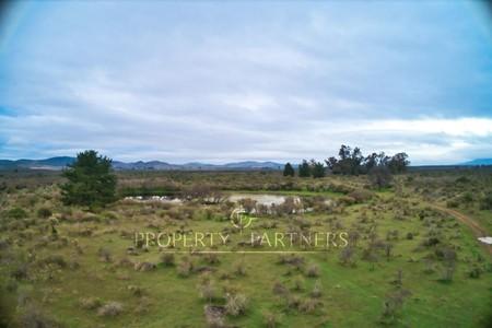 Cauquenes, campo de rulo, ideal para viñas en Provincia de Cauquenes, Región del Maule Cauquenes, campo de rulo, ideal para viñas en Provincia de Cauquenes, Región del Maule
