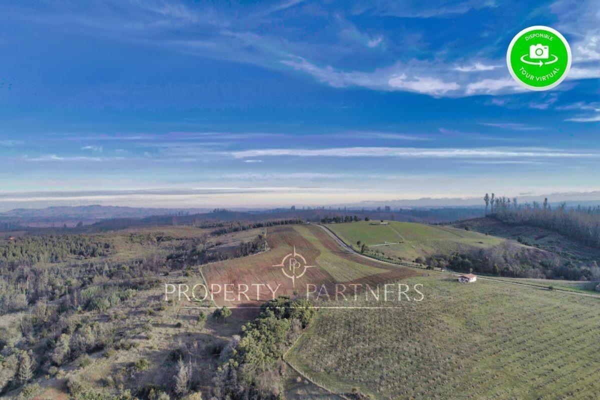 Florida, lindo campo , apto para cultivos en Concepcion, Región del Bio Bio Florida, lindo campo , apto para cultivos en Concepcion, Región del Bio Bio