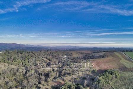 Florida, lindo campo , apto para cultivos en Concepcion, Región del Bio Bio Florida, lindo campo , apto para cultivos en Concepcion, Región del Bio Bio
