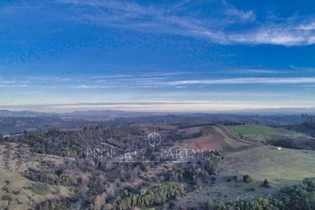 Florida, lindo campo , apto para cultivos en Concepcion, Región del Bio Bio Florida, lindo campo , apto para cultivos en Concepcion, Región del Bio Bio
