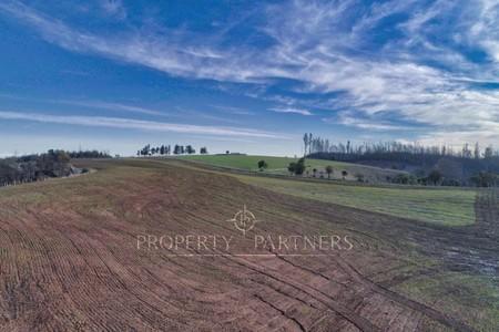 Florida, lindo campo , apto para cultivos en Concepcion, Región del Bio Bio Florida, lindo campo , apto para cultivos en Concepcion, Región del Bio Bio