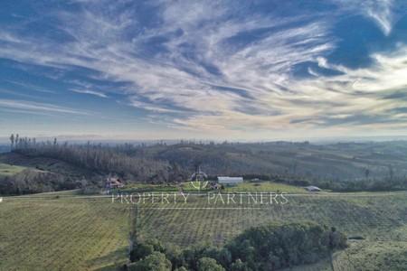 Florida, lindo campo , apto para cultivos en Concepcion, Región del Bio Bio Florida, lindo campo , apto para cultivos en Concepcion, Región del Bio Bio