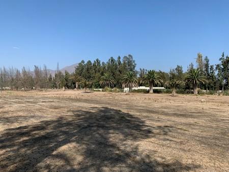 Talagante OPORTUNIDAD ÚNICA, Parcela en Club de Golf las Palmas del Oliveto en Talagante, Región Metropolitana Talagante OPORTUNIDAD ÚNICA, Parcela en Club de Golf las Palmas del Oliveto en Talagante, Región Metropolitana