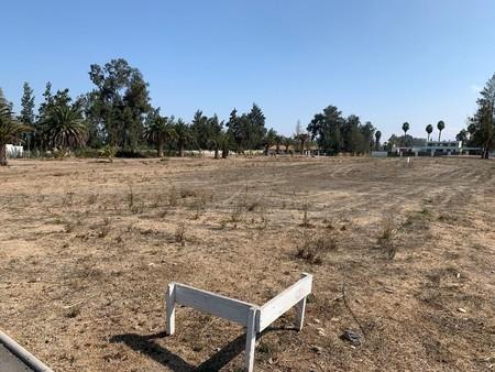 Talagante OPORTUNIDAD ÚNICA, Parcela en Club de Golf las Palmas del Oliveto en Talagante, Región Metropolitana Talagante OPORTUNIDAD ÚNICA, Parcela en Club de Golf las Palmas del Oliveto en Talagante, Región Metropolitana