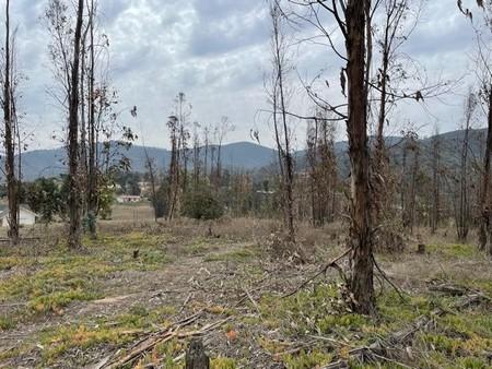 Terreno en Condominio Los Troncos, El Rungue en Rungue, Maitencillo, Región de Valparaíso Terreno en Condominio Los Troncos, El Rungue en Rungue, Maitencillo, Región de Valparaíso