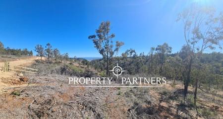 Tunquen, Proyecto Bosque Tunquen Venta Directa SIN COMISION en Tunquen, Algarrobo, Región de Valparaíso Tunquen, Proyecto Bosque Tunquen Venta Directa SIN COMISION en Tunquen, Algarrobo, Región de Valparaíso