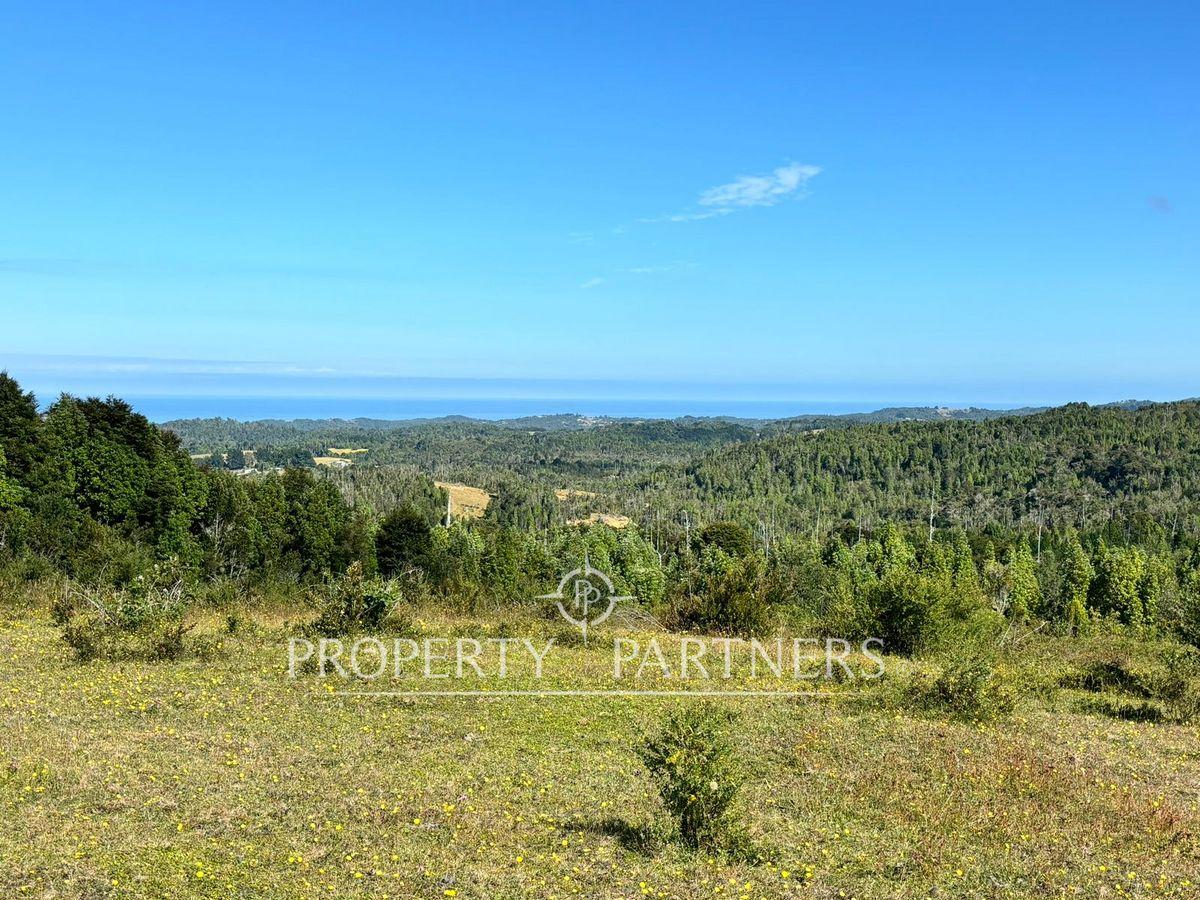 Oportunidad de inversión, campo con 1.700 m de orilla del Río Pescado, Los Muermos en Los Muermos, Región de Los Lagos Oportunidad de inversión, campo con 1.700 m de orilla del Río Pescado, Los Muermos en Los Muermos, Región de Los Lagos