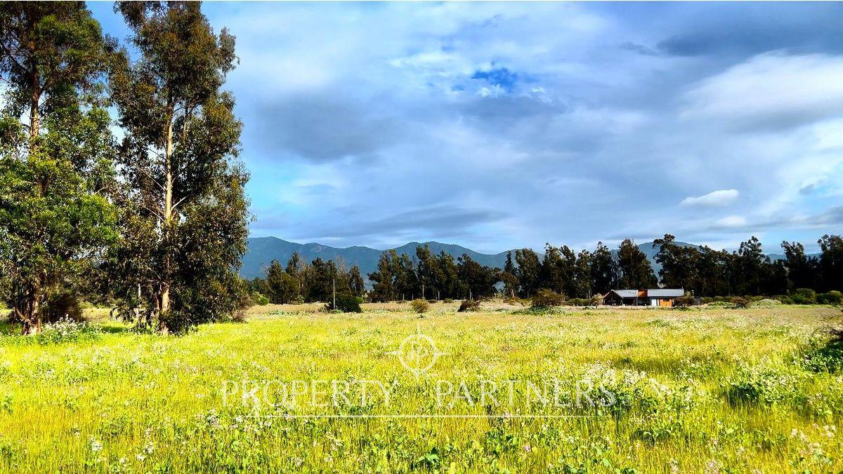 Precioso Terreno de 2,4 ha. en Catapilco, Zapallar en Catapilco, Zapallar, Región de Valparaíso Precioso Terreno de 2,4 ha. en Catapilco, Zapallar en Catapilco, Zapallar, Región de Valparaíso