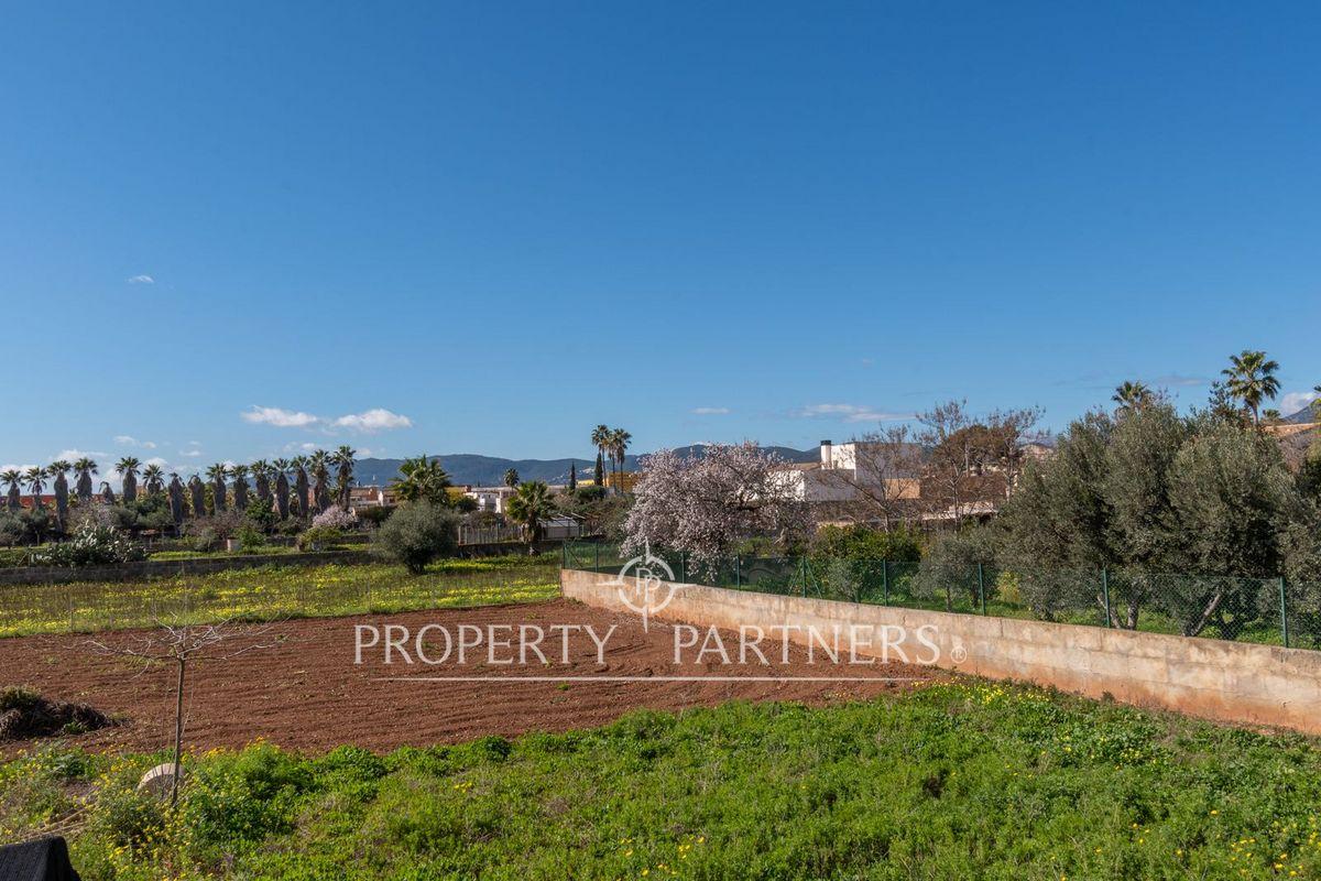 Una Joya en la Auténtica Palma en Palma de Mallorca, Mallorca, Islas Baleares Una Joya en la Auténtica Palma en Palma de Mallorca, Mallorca, Islas Baleares