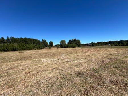 Hermosa parcela con vista al volcán en condominio cerrado en Villarrica, Región de Araucania Hermosa parcela con vista al volcán en condominio cerrado en Villarrica, Región de Araucania