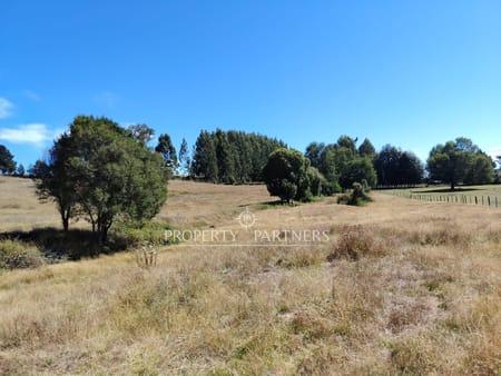 Terreno de 4 has. cercano a Curacautín en Malleco, Región de Araucania Terreno de 4 has. cercano a Curacautín en Malleco, Región de Araucania