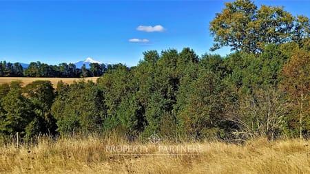 Terreno con gran vista al volcán Villarrica en Panguipulli, Región de Los Rios Terreno con gran vista al volcán Villarrica en Panguipulli, Región de Los Rios