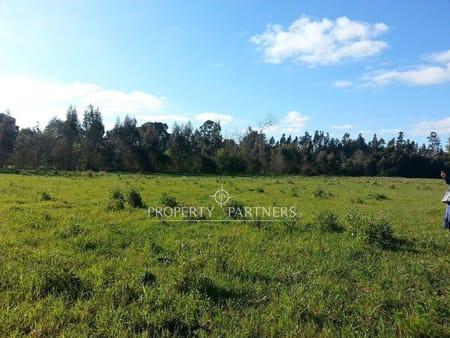 Excelente terreno comuna Nueva Imperial, con acceso por carretera. en Nueva Imperial, Región de Araucania Excelente terreno comuna Nueva Imperial, con acceso por carretera. en Nueva Imperial, Región de Araucania