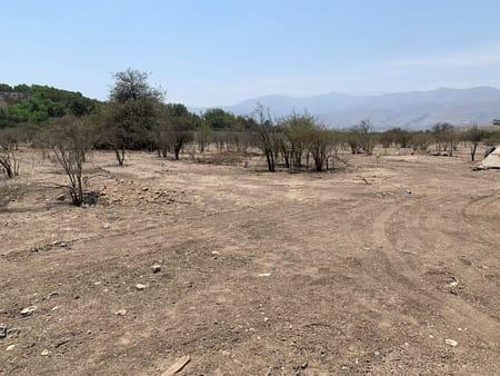 Terreno en arriendo ubicación central en Av. Chicureo en Chicureo Centro, Colina, Región Metropolitana Terreno en arriendo ubicación central en Av. Chicureo en Chicureo Centro, Colina, Región Metropolitana