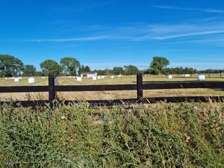 Parcela en venta «Praderas de Frutillar» en Frutillar, Región de Los Lagos Parcela en venta «Praderas de Frutillar» en Frutillar, Región de Los Lagos